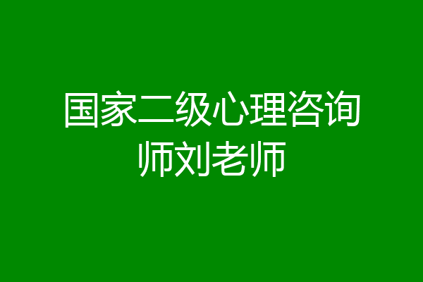 国家二级心理咨询师刘老师