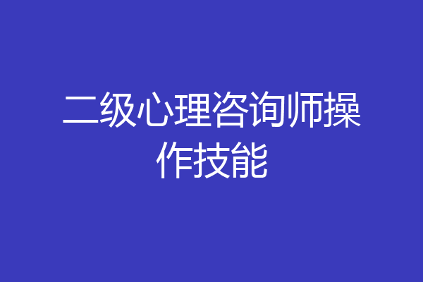 二级心理咨询师操作技能