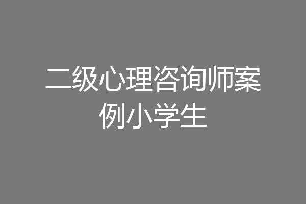 二级心理咨询师案例小学生