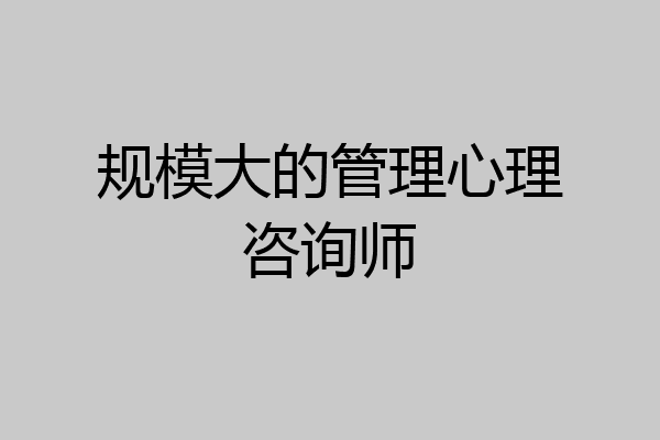 规模大的管理心理咨询师