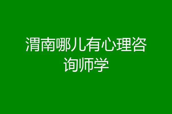渭南哪儿有心理咨询师学