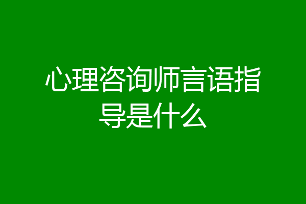心理咨询师言语指导是什么