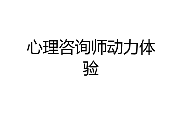 心理咨询师动力体验