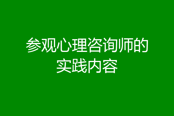 参观心理咨询师的实践内容