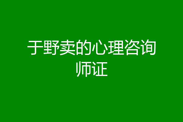 于野卖的心理咨询师证