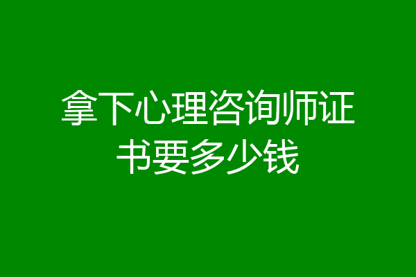 拿下心理咨询师证书要多少钱