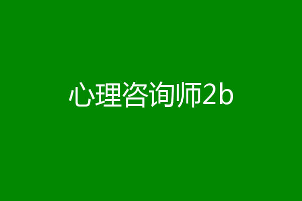 心理咨询师2b
