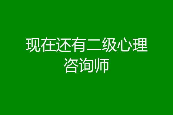 现在还有二级心理咨询师