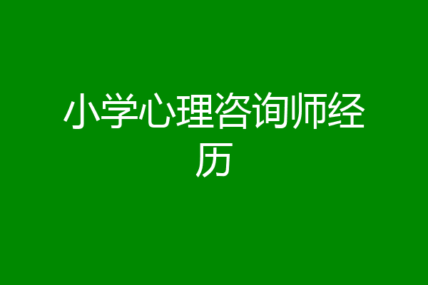 小学心理咨询师经历