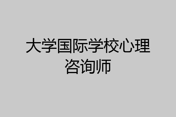 大学国际学校心理咨询师