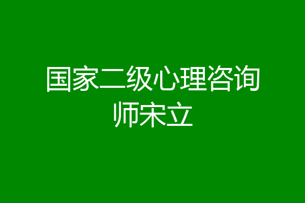 国家二级心理咨询师宋立