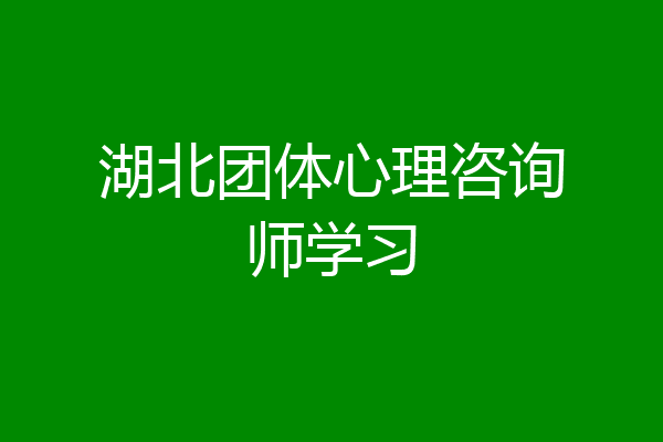 湖北团体心理咨询师学习