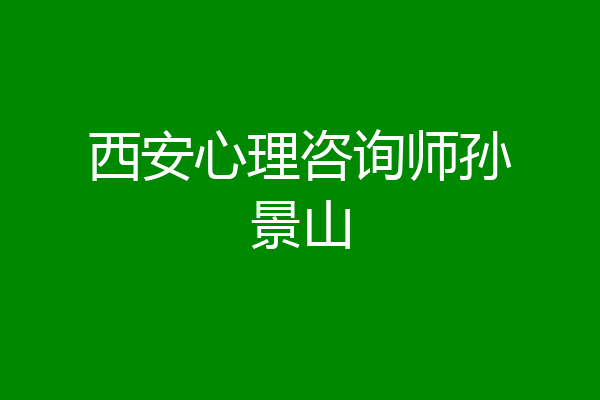 西安心理咨询师孙景山