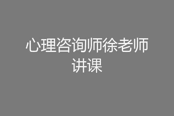 心理咨询师徐老师讲课