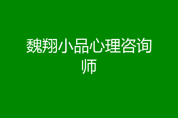 魏翔小品心理咨询师