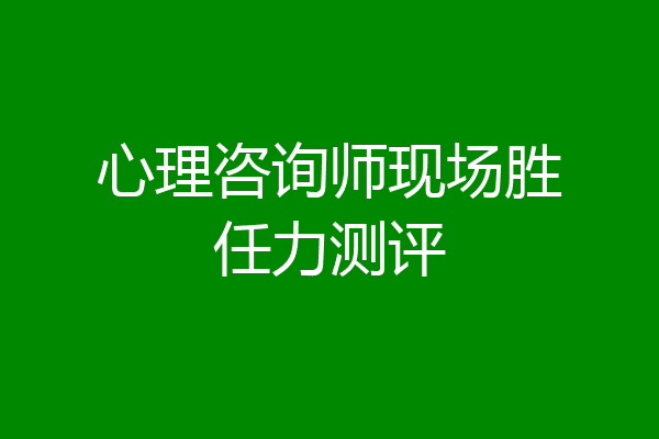 心理咨询师现场胜任力测评