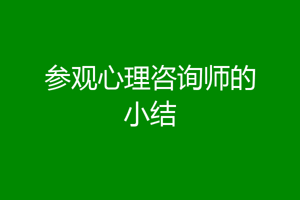 参观心理咨询师的小结
