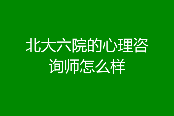 北大六院的心理咨询师怎么样