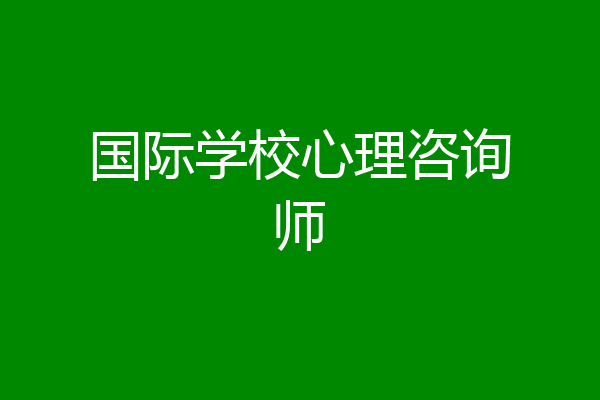 国际学校心理咨询师