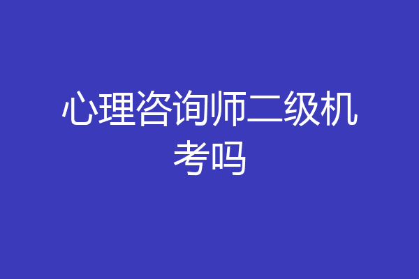 心理咨询师二级机考吗