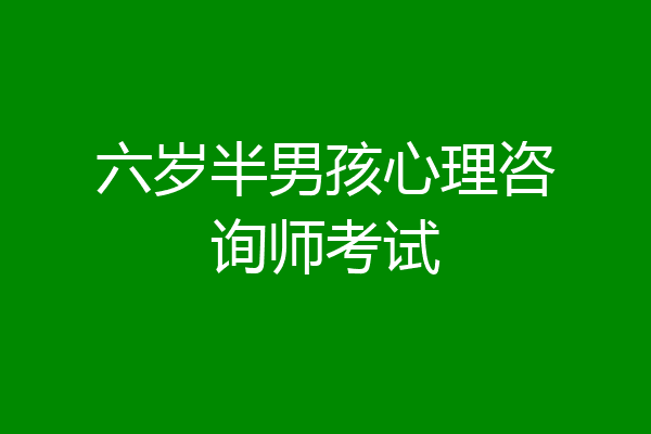 六岁半男孩心理咨询师考试