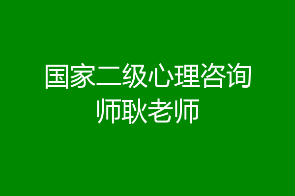 国家二级心理咨询师耿老师