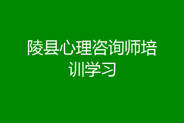 陵县心理咨询师培训学习