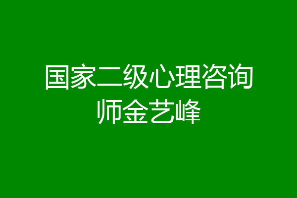 国家二级心理咨询师金艺峰