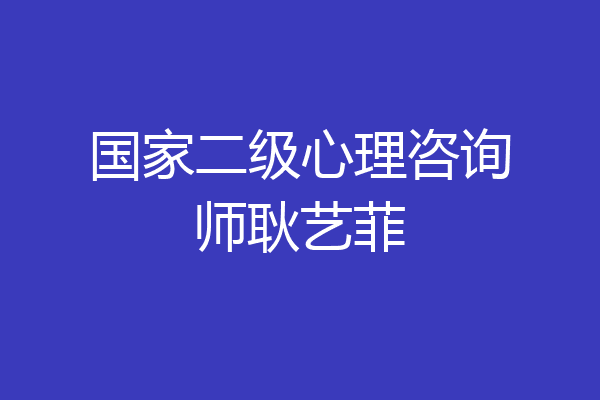 国家二级心理咨询师耿艺菲