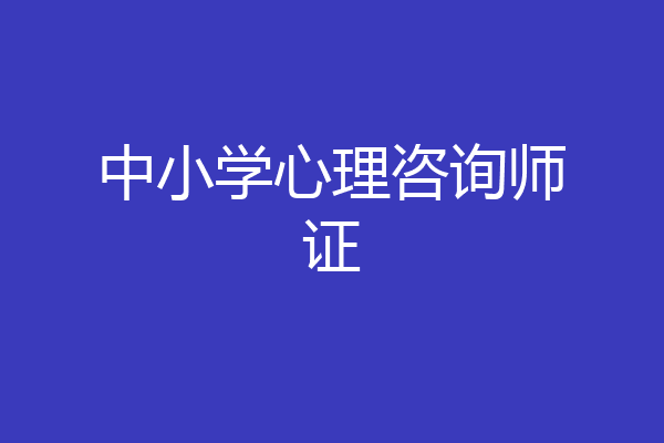 中小学心理咨询师证