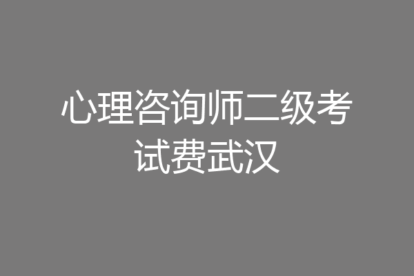心理咨询师二级考试费武汉
