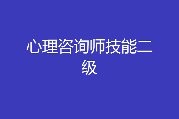 心理咨询师技能二级