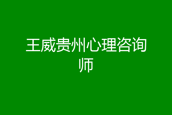 王威贵州心理咨询师