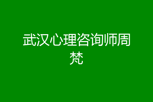 武汉心理咨询师周梵