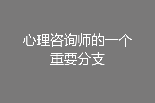 心理咨询师的一个重要分支
