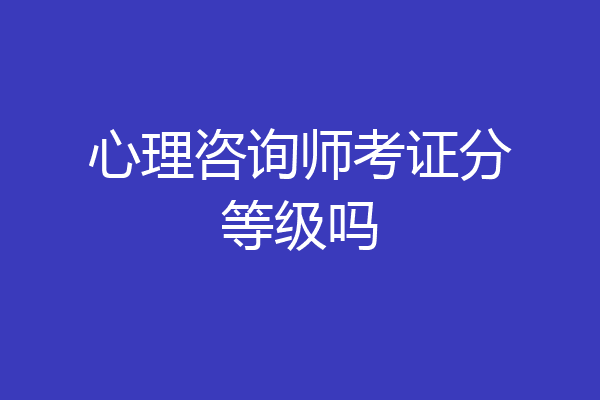心理咨询师考证分等级吗