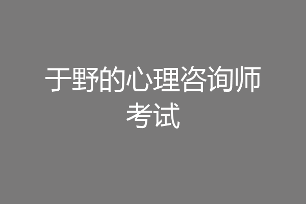 于野的心理咨询师考试