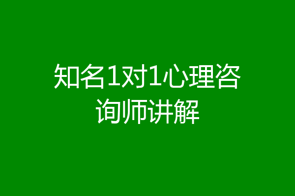 知名1对1心理咨询师讲解