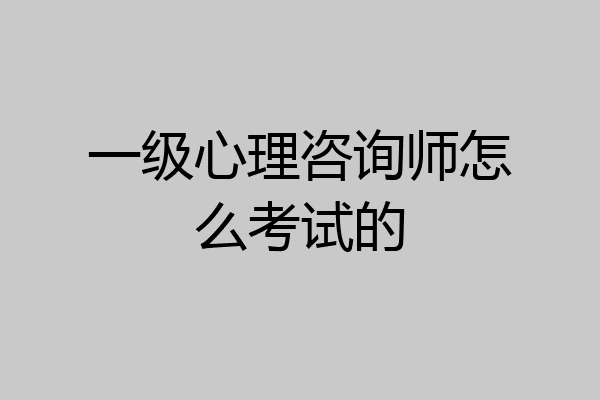 一级心理咨询师怎么考试的