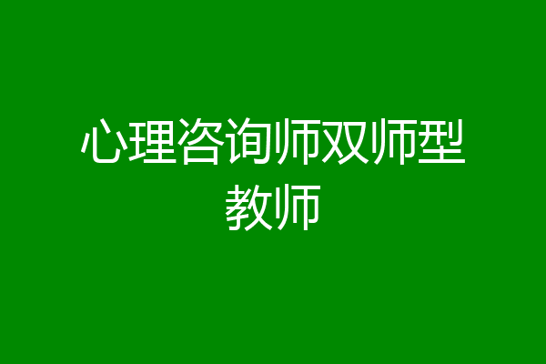 心理咨询师双师型教师