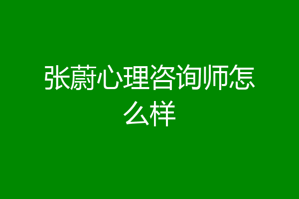 张蔚心理咨询师怎么样