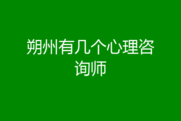 朔州有几个心理咨询师