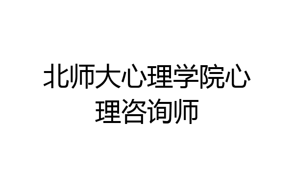 北师大心理学院心理咨询师
