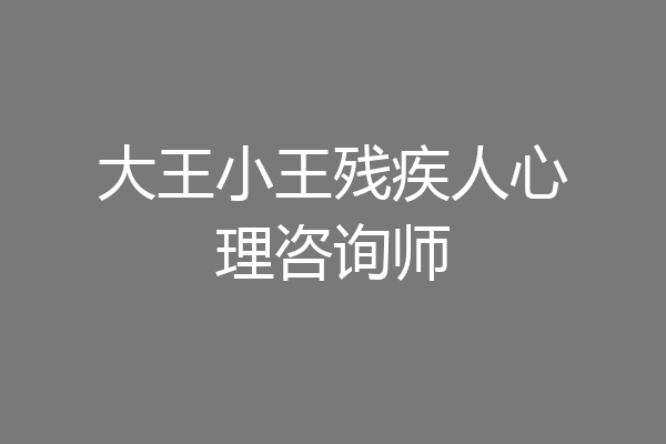 大王小王残疾人心理咨询师