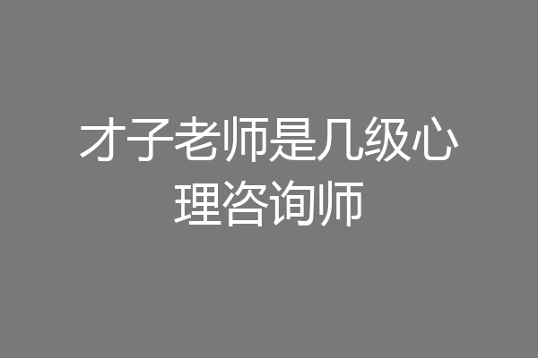 才子老师是几级心理咨询师