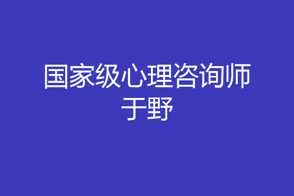 国家级心理咨询师于野