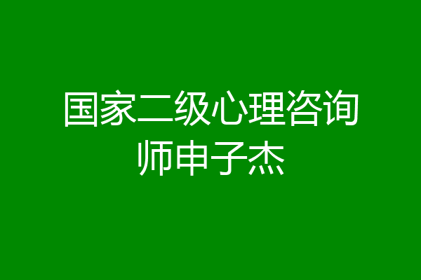 国家二级心理咨询师申子杰