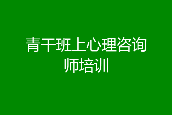 青干班上心理咨询师培训