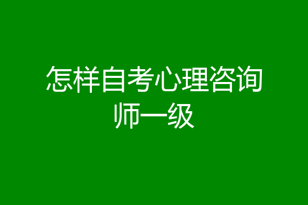 怎样自考心理咨询师一级