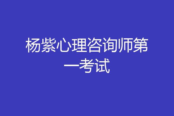 杨紫心理咨询师第一考试